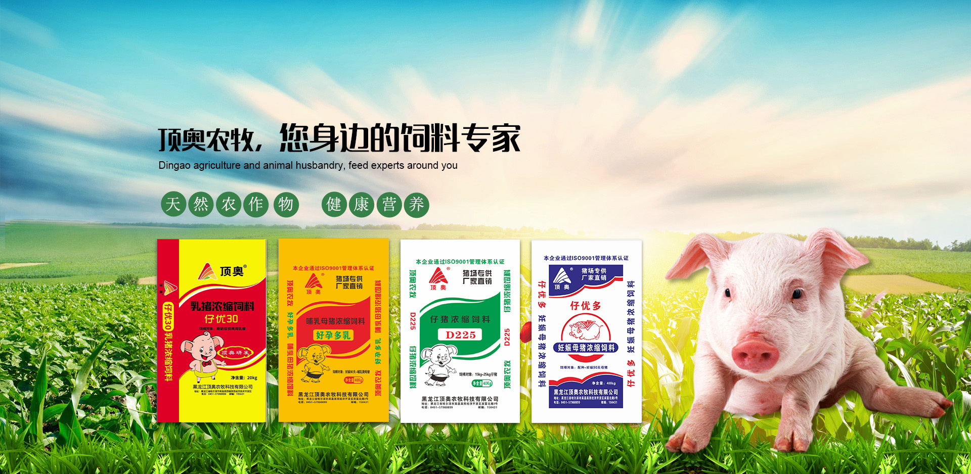 頂奧農(nóng)牧